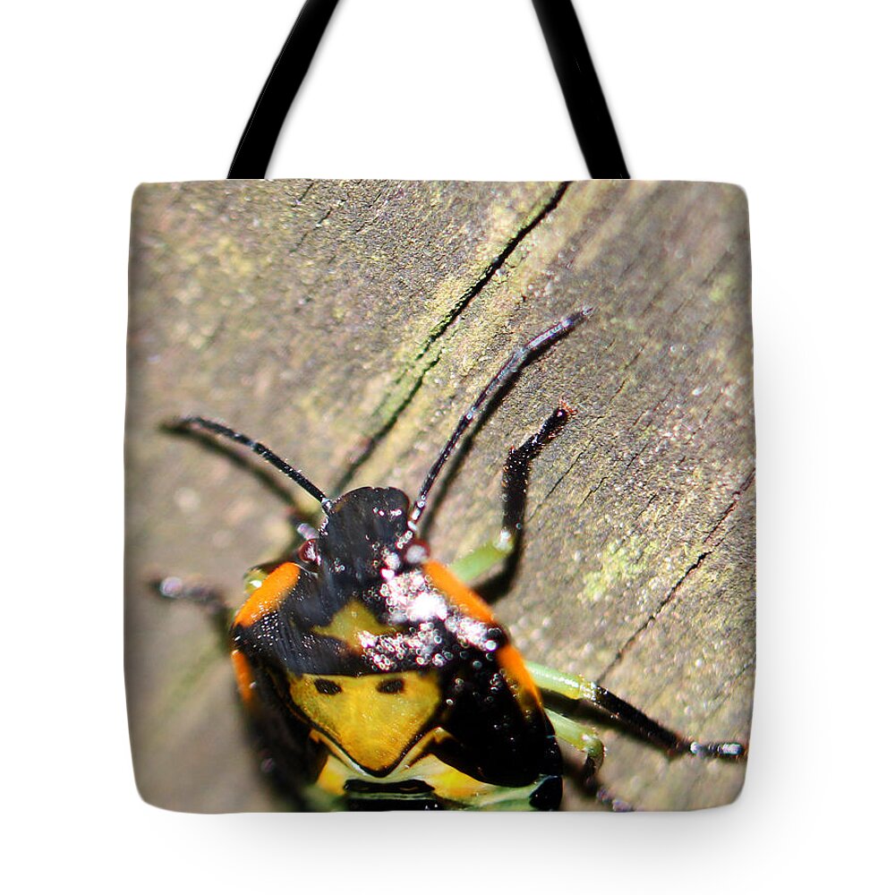 Insects Tote Bag featuring the photograph Alien Creature by Jennifer Robin