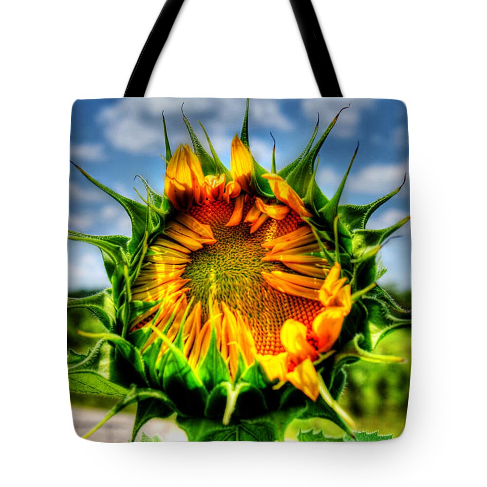 Sunflower; Plant; Nature; Plantae; Angiosperms; Eudicots; Asterids; Asterales; Asteraceae; Helianthoideae; Heliantheae; Helianthus; Annual Flowers; Annulas Tote Bag featuring the photograph Alien Invasion? by Andy Lawless