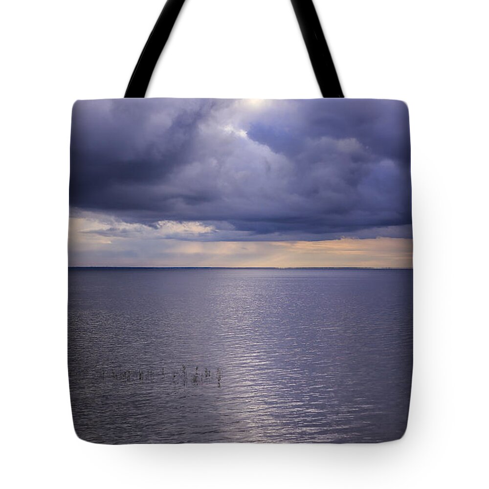 All That Shimmers Tote Bag featuring the photograph All that Shimmers 2 by Rachel Cohen