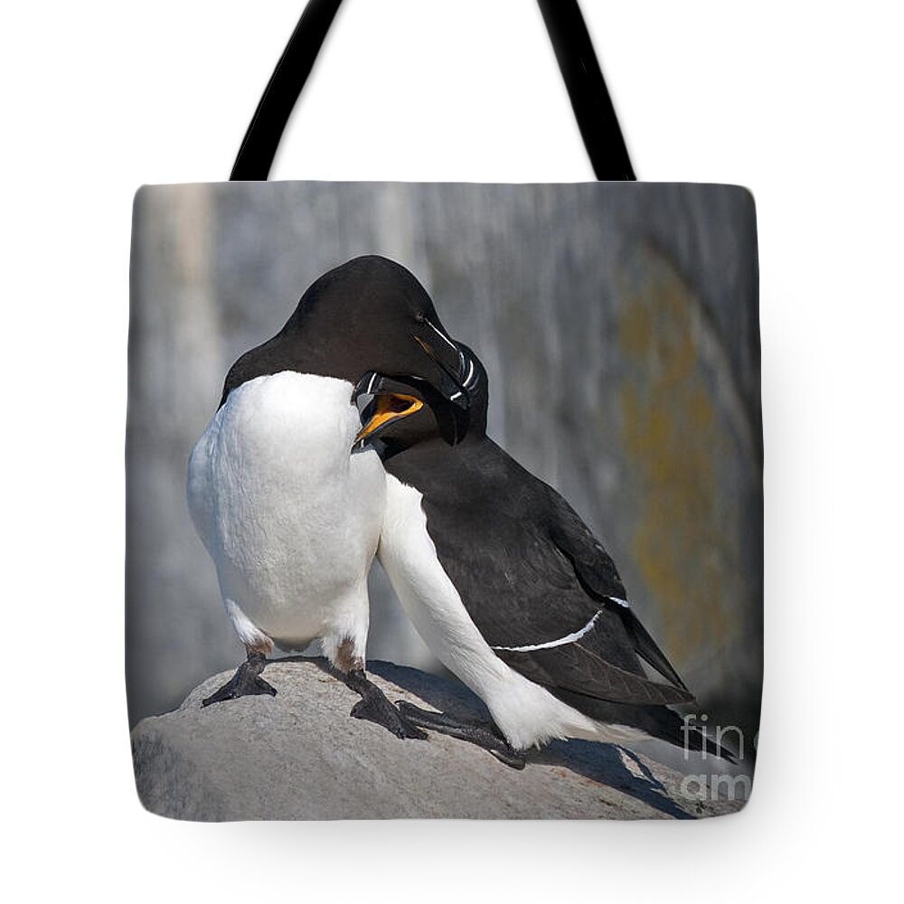 Festblues Tote Bag featuring the photograph All You Need is Love... by Nina Stavlund