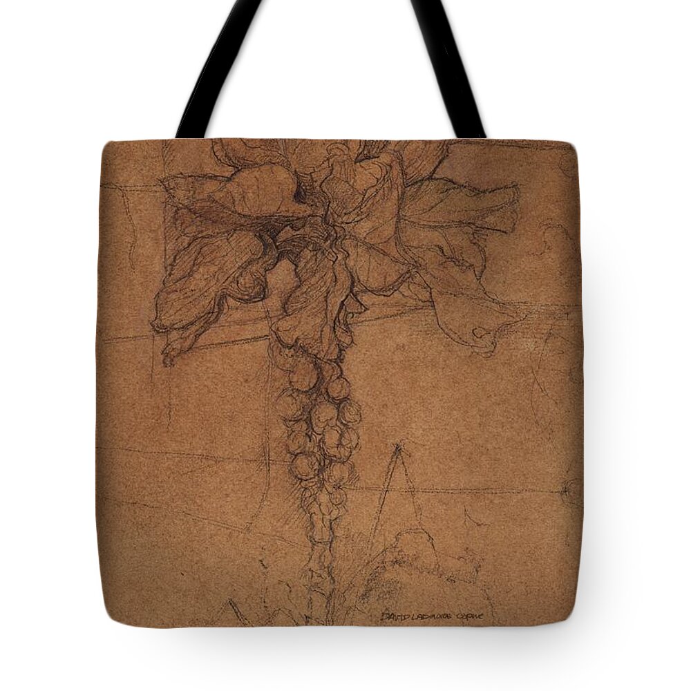 Plant Tote Bag featuring the drawing Allotment Study by David Ladmore