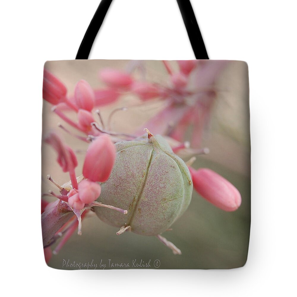 Tamara Kulish Tote Bag featuring the photograph Aloe Flower 3 by Tamara Kulish