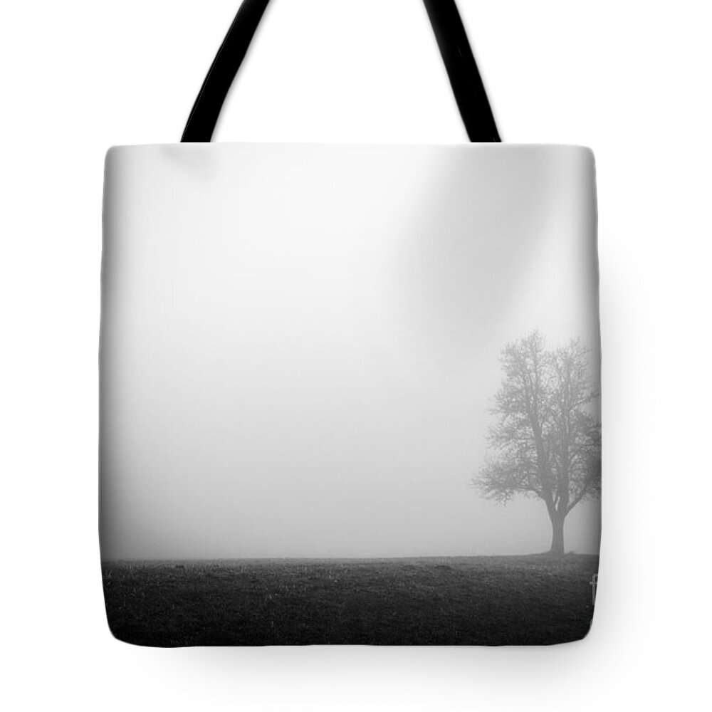 Austria Tote Bag featuring the photograph Alone In The Fog - Bw by Hannes Cmarits