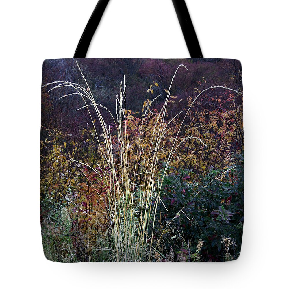 Weed Tote Bag featuring the photograph Along Dryden Road by Robert Woodward