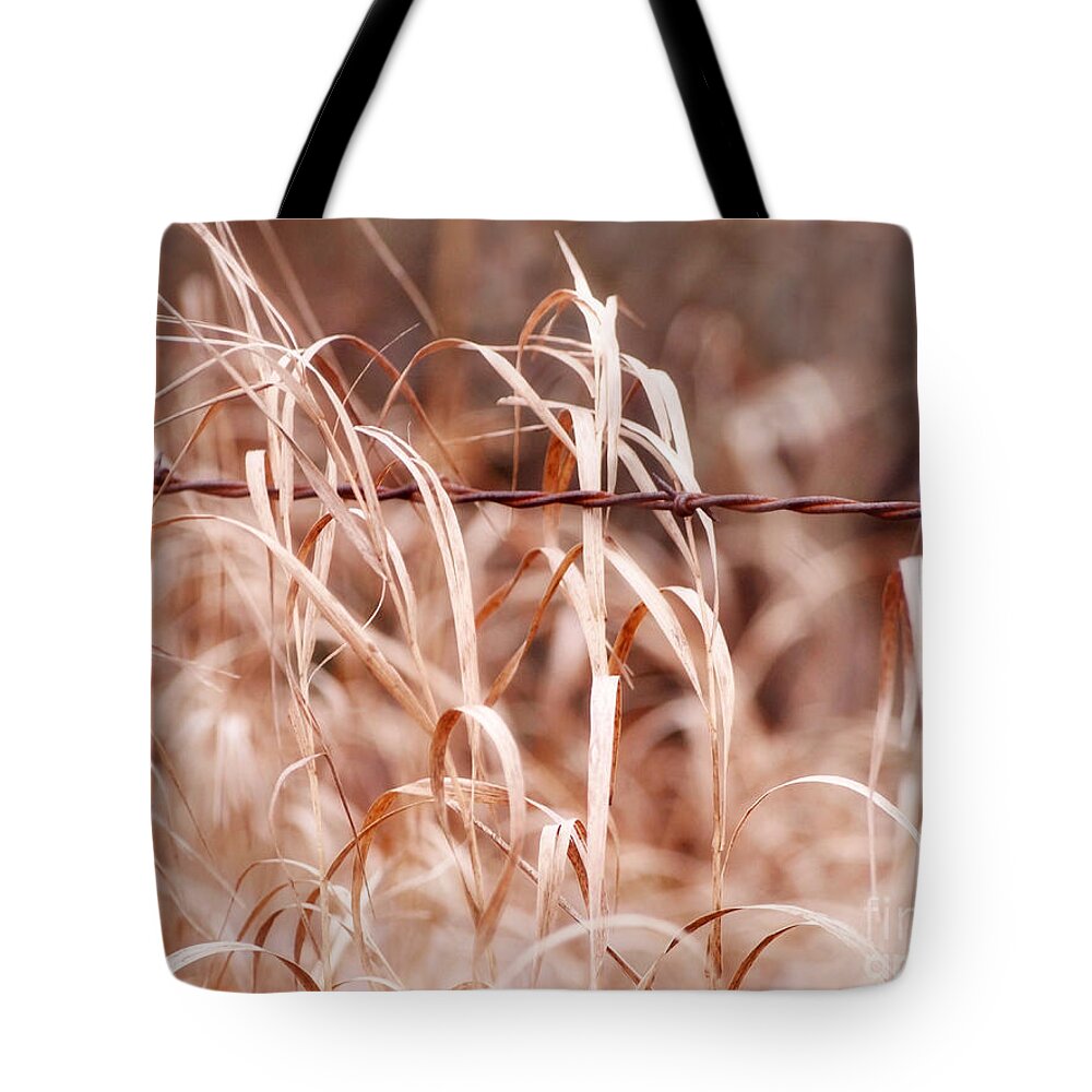 Barbed Wire Fence Tote Bag featuring the photograph Along the Fenceline - November by Angie Rea