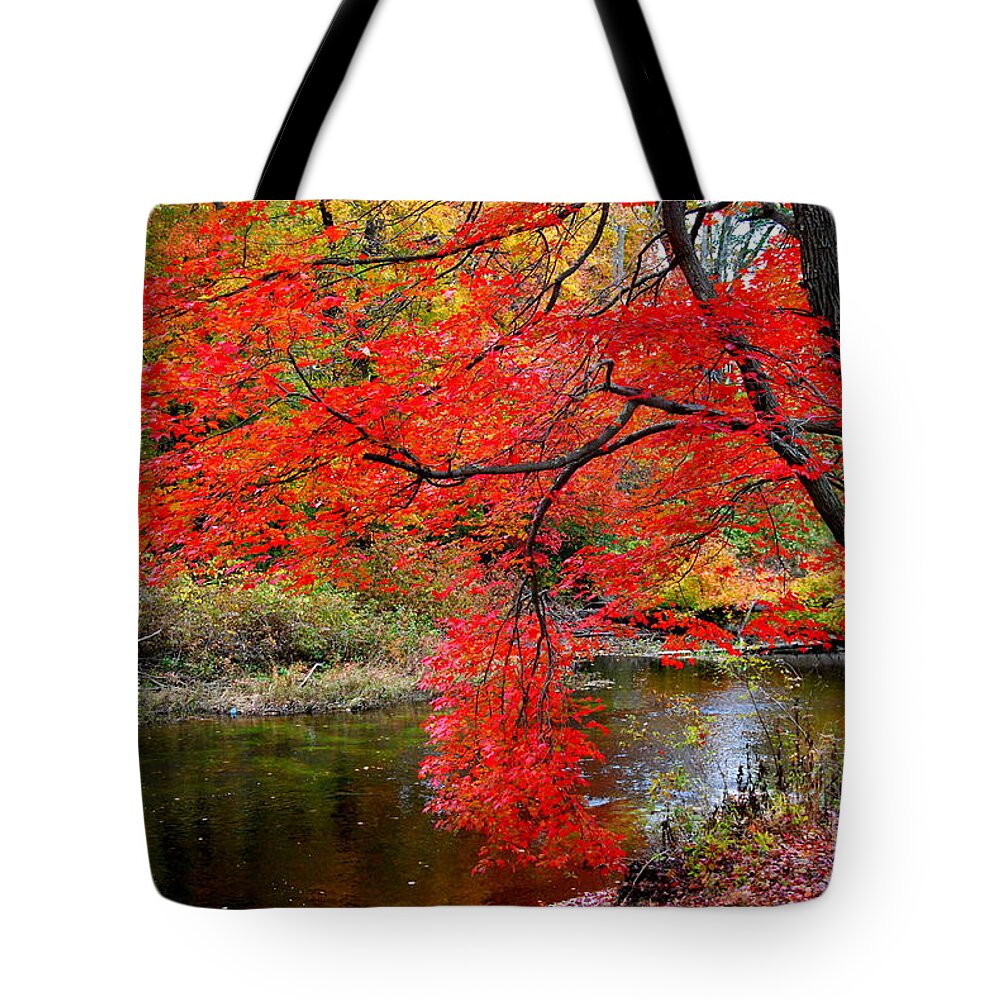 New Hampshire Tote Bag featuring the photograph Along The Lamprey by Eunice Miller