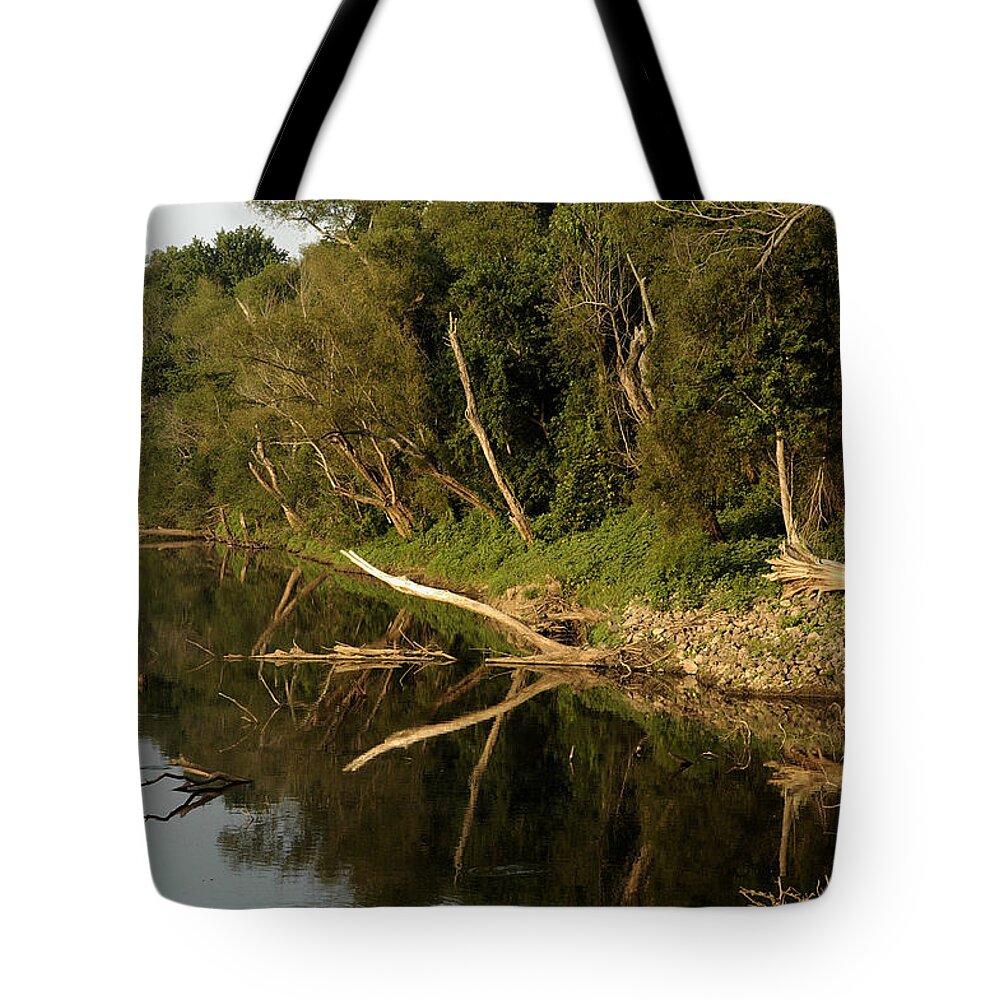 Brandywine Island Tote Bag featuring the photograph Along The Shore - Brandywine by DArcy Evans