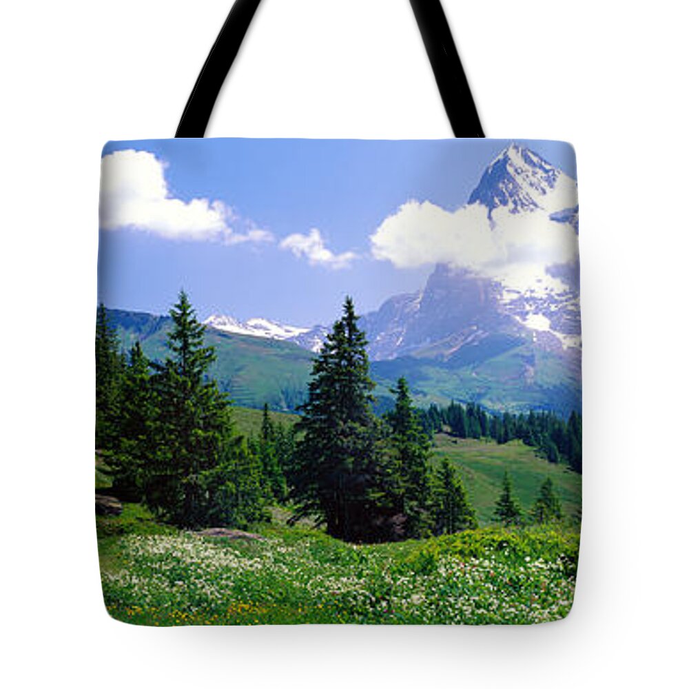 Photography Tote Bag featuring the photograph Alpine Scene Near Murren Switzerland by Panoramic Images