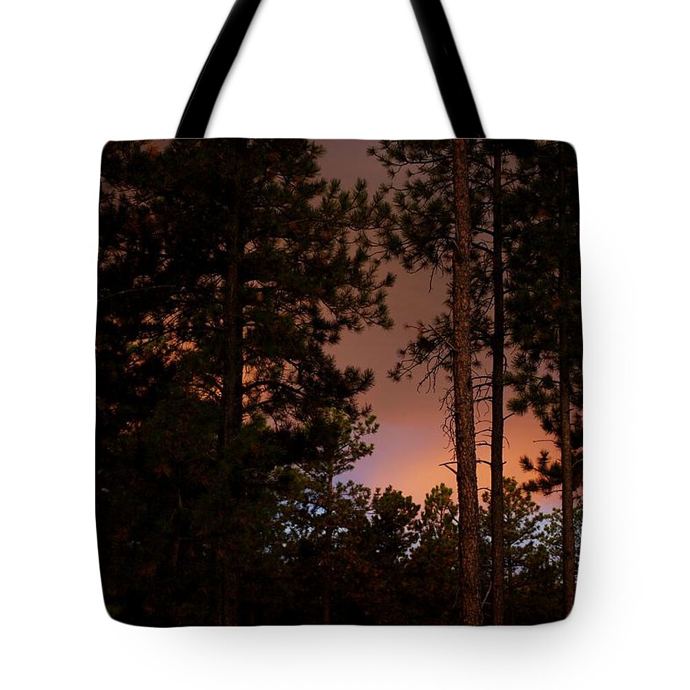 Sunrise Tote Bag featuring the photograph Alpine Sunrise by Greni Graph