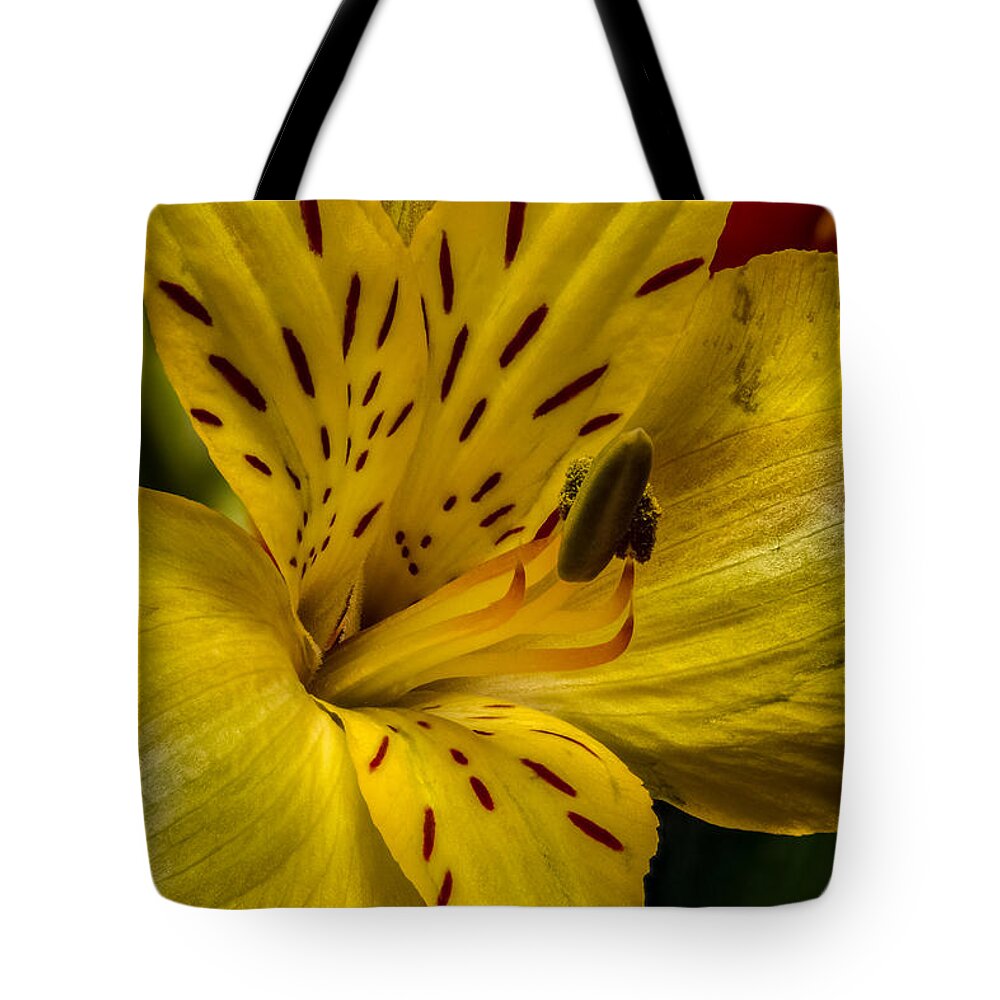 Alstroemeria Tote Bag featuring the photograph Alstroemeria Bloom by Ron Pate