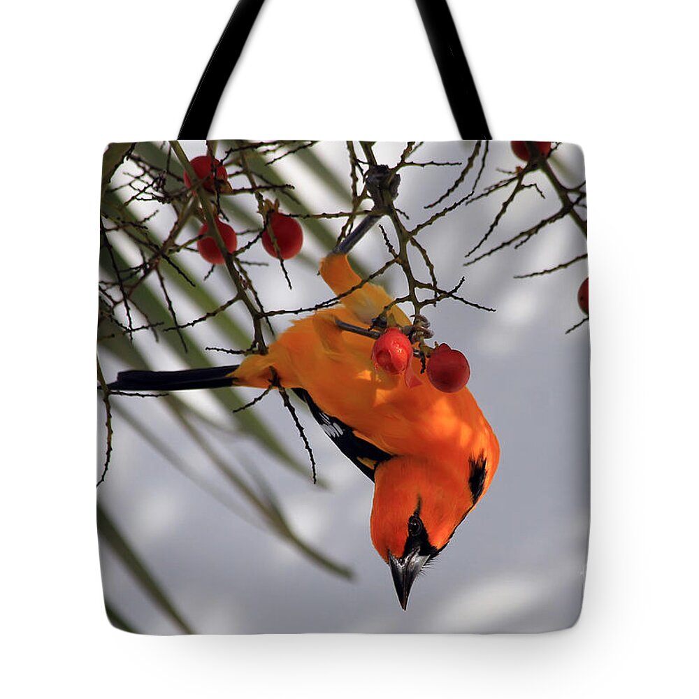 Bird Tote Bag featuring the photograph Altamira Oriole by Teresa Zieba