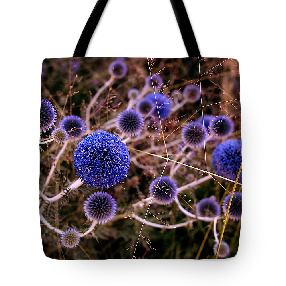 Thistle Tote Bag featuring the photograph Alternate Universe by Rona Black