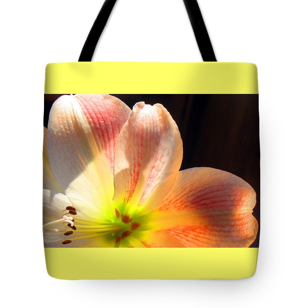Amaryllis Tote Bag featuring the photograph Amaryllis by Andrea Lazar