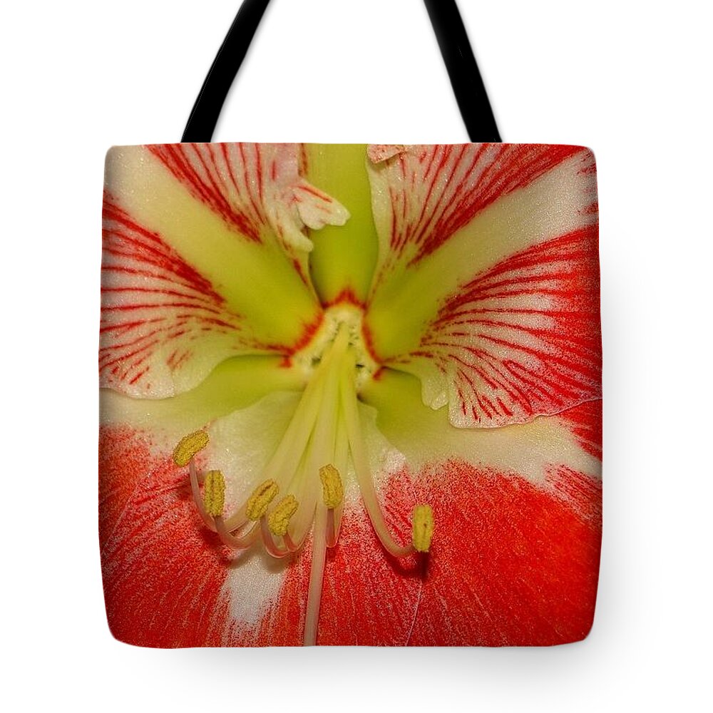 Amaryllis Tote Bag featuring the photograph Amaryllis by Anthony Seeker