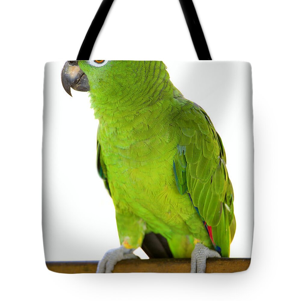 Parrot Tote Bag featuring the photograph Amazon parrot by Alexey Stiop