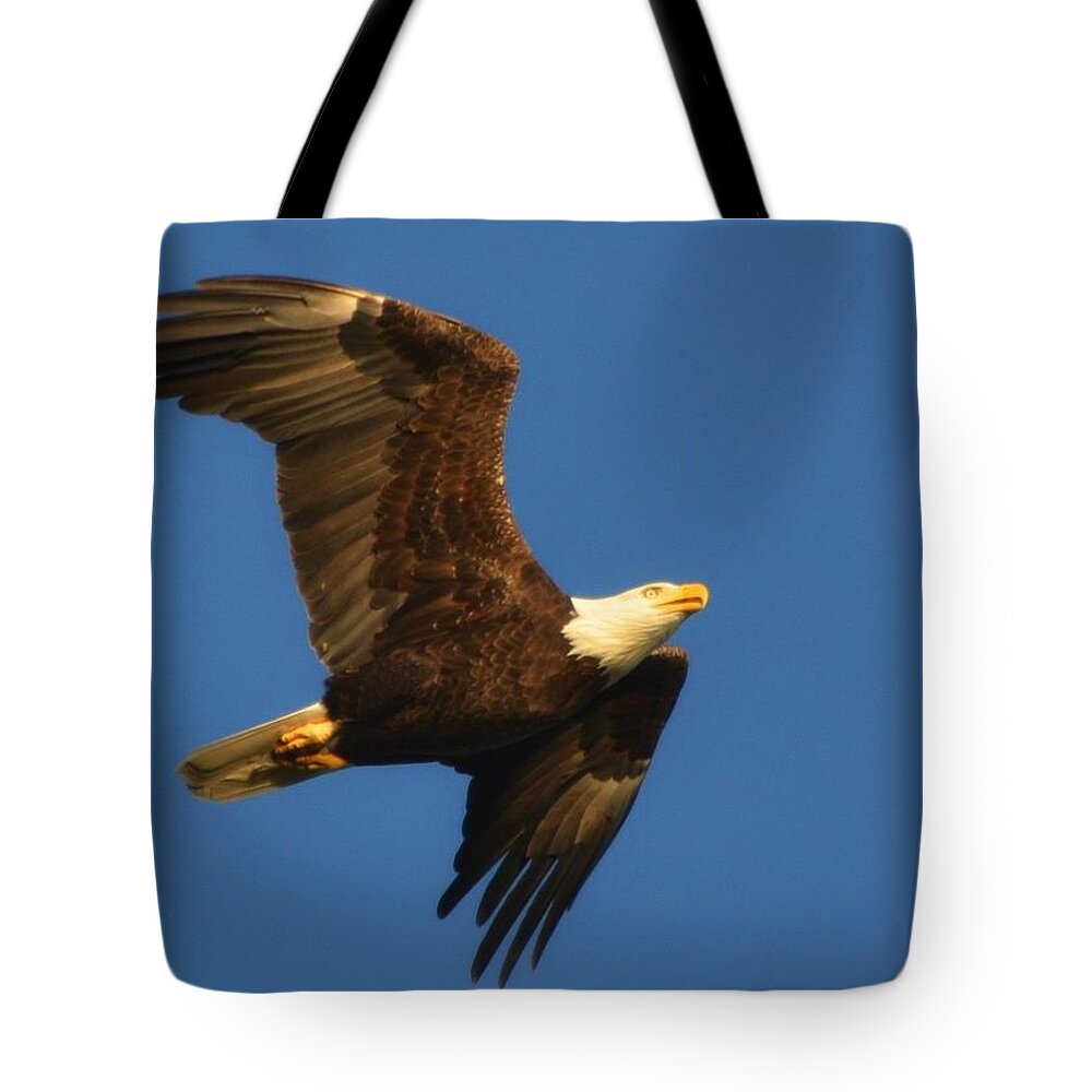 American Tote Bag featuring the photograph American Bald Eagle Close-ups over Santa Rosa Sound with Blue Skies by Jeff at JSJ Photography