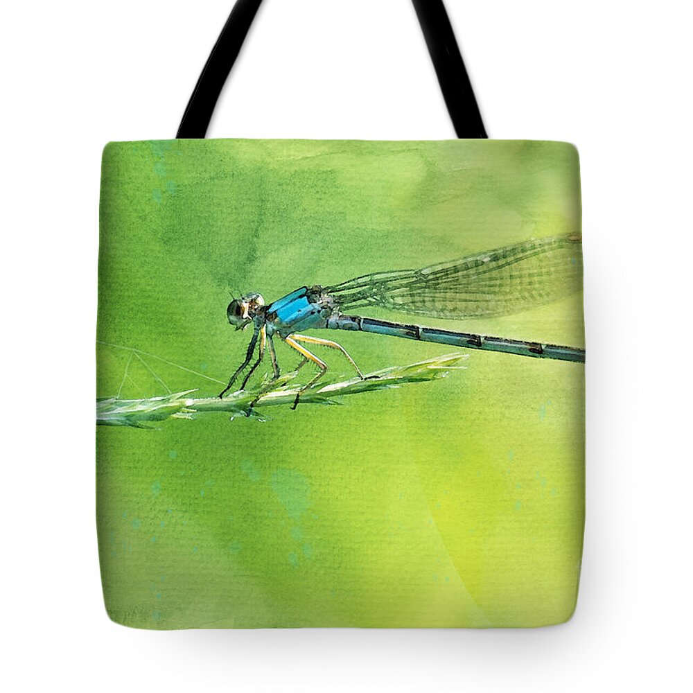 Damselfly Tote Bag featuring the photograph American Bluet Damselfly by Betty LaRue