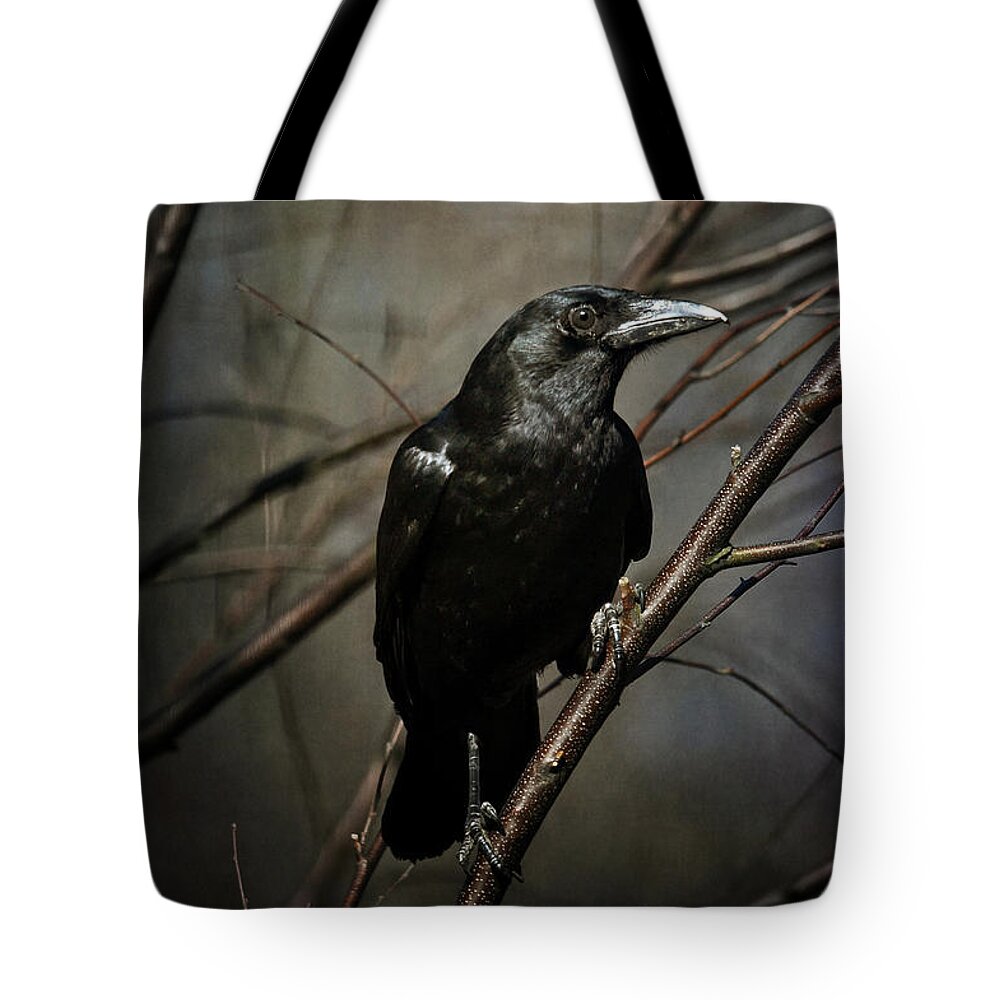 Crow Tote Bag featuring the photograph American Crow by Lois Bryan