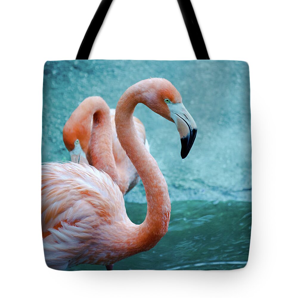 Environmental Conservation Tote Bag featuring the photograph American Flamingo by Bhwehlage
