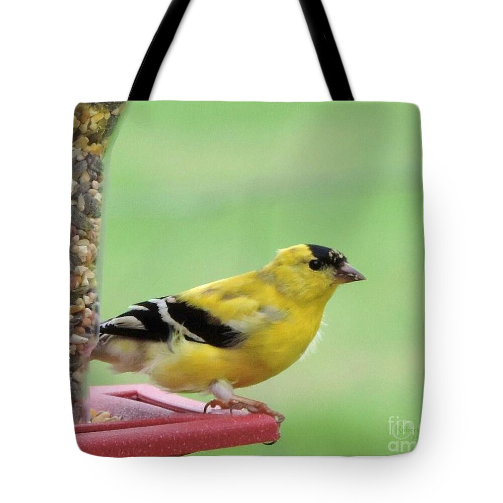 American Goldfinch Tote Bag featuring the photograph American Goldfinch at the Feeder 01 by Robert ONeil