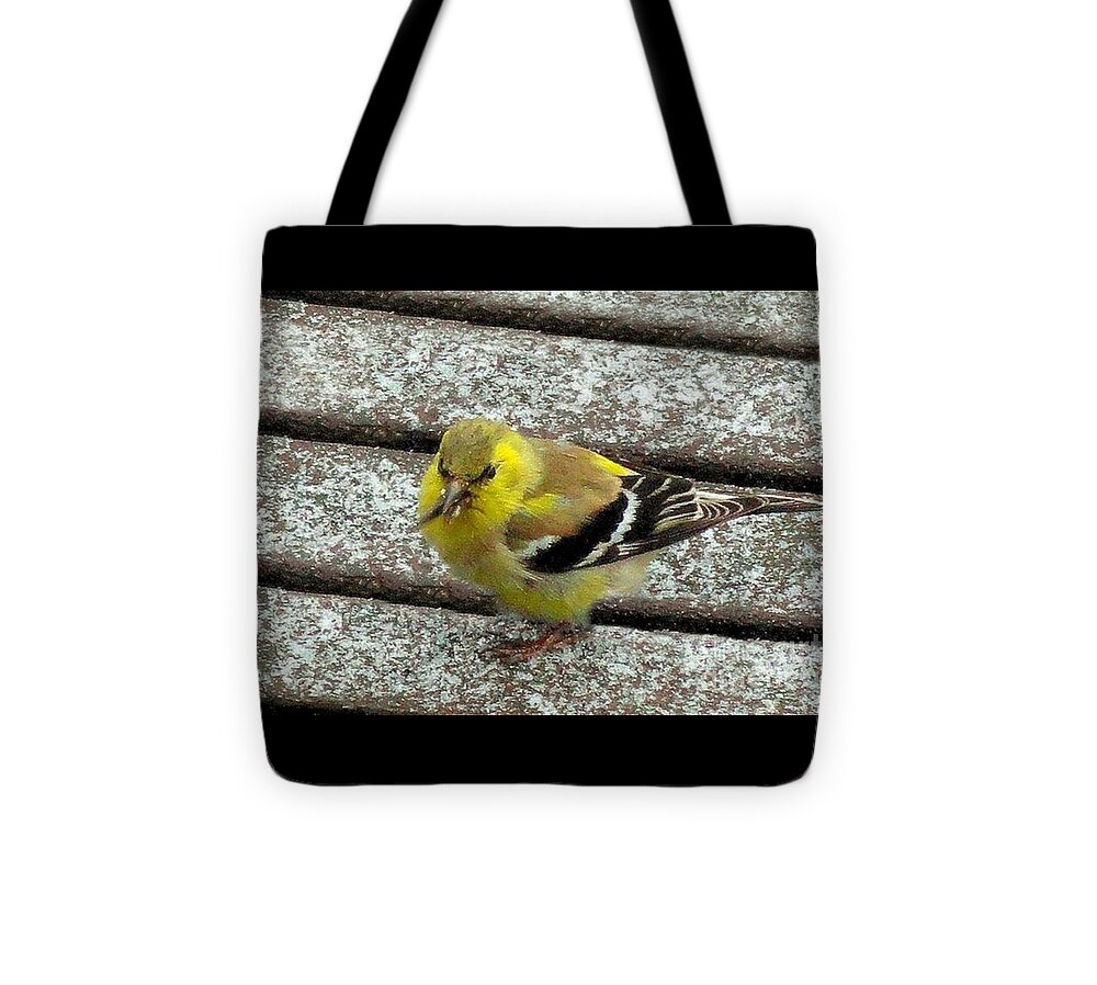 Bird Tote Bag featuring the photograph American Goldfinch by Janette Boyd