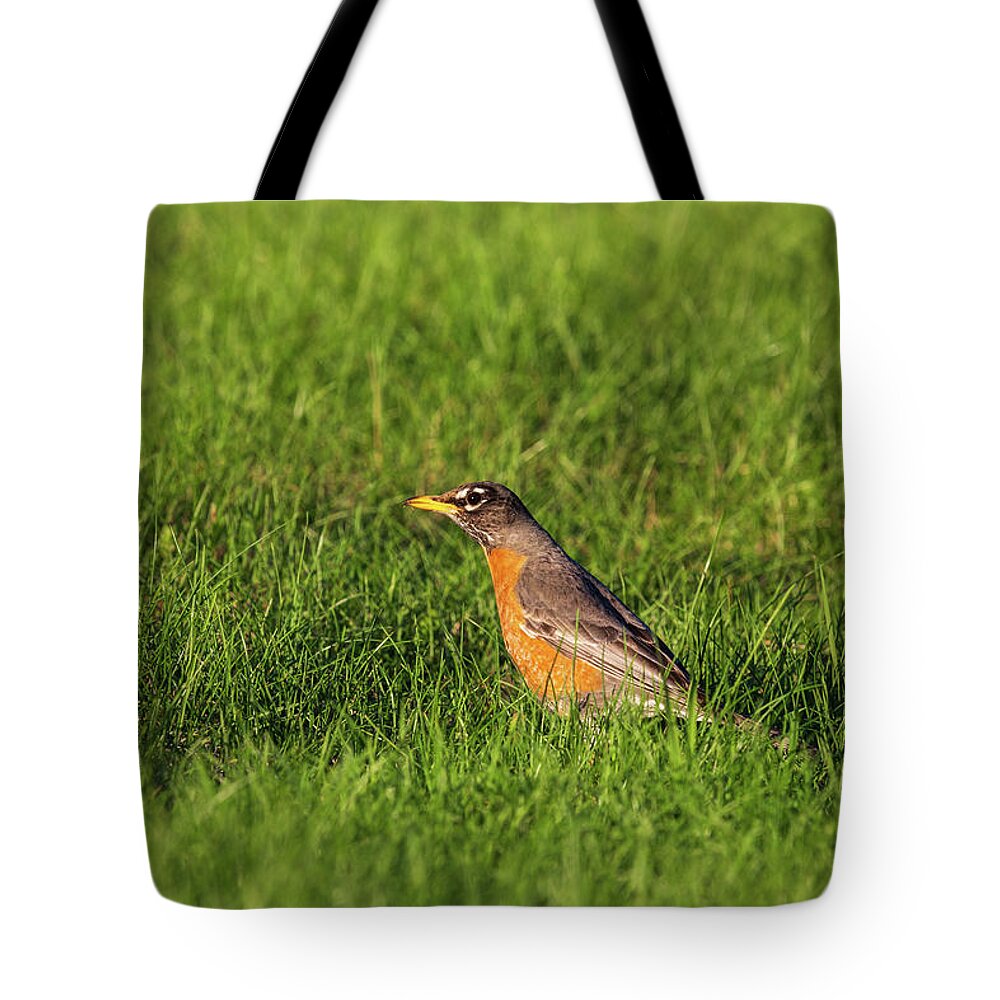Adult Tote Bag featuring the photograph American Robin by Linda Arndt