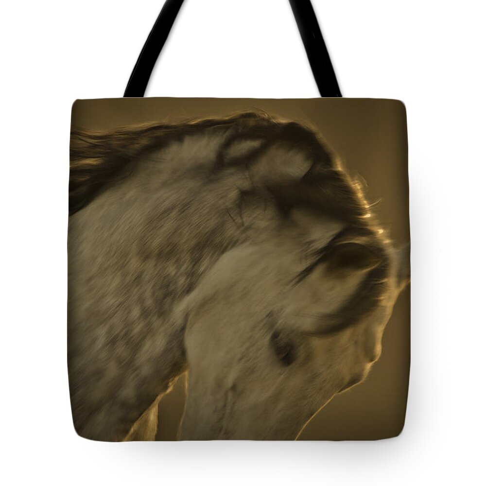 Andalusia Tote Bag featuring the photograph Americano 2 by Catherine Sobredo