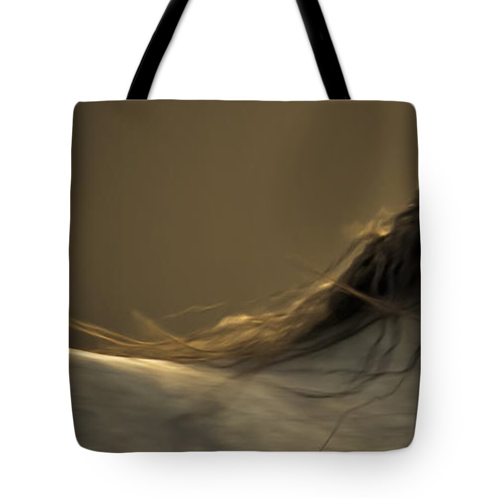 Andalusia Tote Bag featuring the photograph Americano 4 by Catherine Sobredo