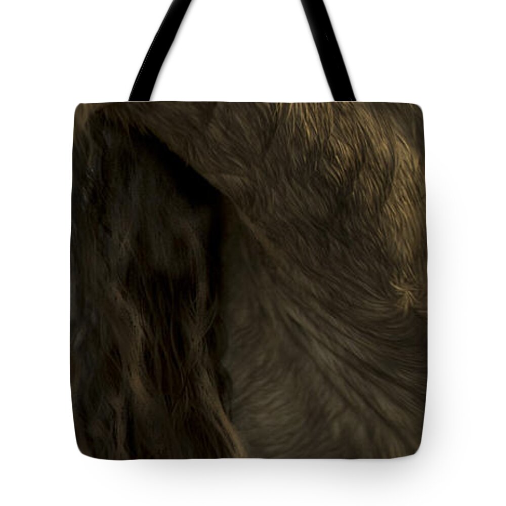 Andalusia Tote Bag featuring the photograph Americano 5 by Catherine Sobredo