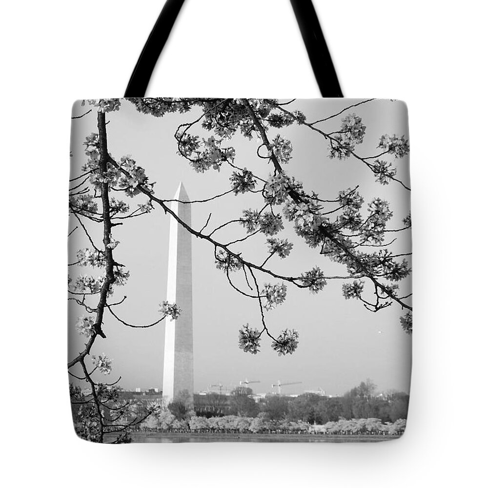 Amongst The Cherry Blossoms Tote Bag featuring the photograph Amongst The Cherry Blossoms by Emmy Vickers