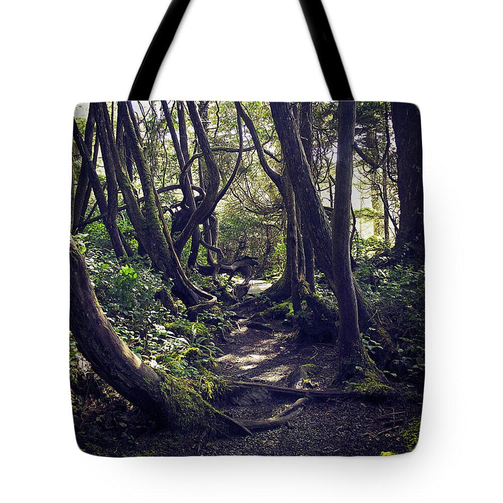 British Columbia Tote Bag featuring the photograph Amongst the Trees by Carrie Cole