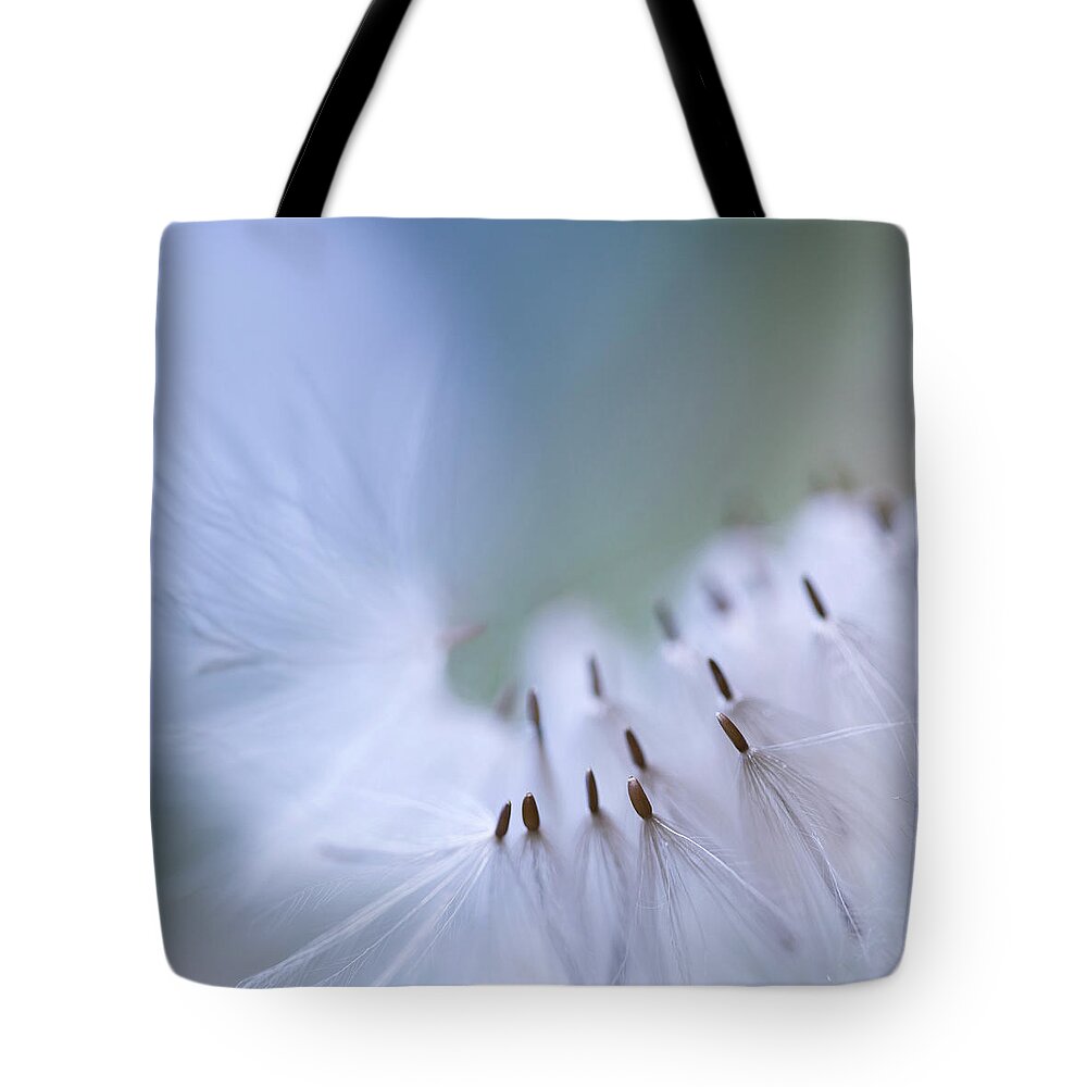 North Rhine Westphalia Tote Bag featuring the photograph An Angel Passing By by Maria Rafaela Schulze-vorberg