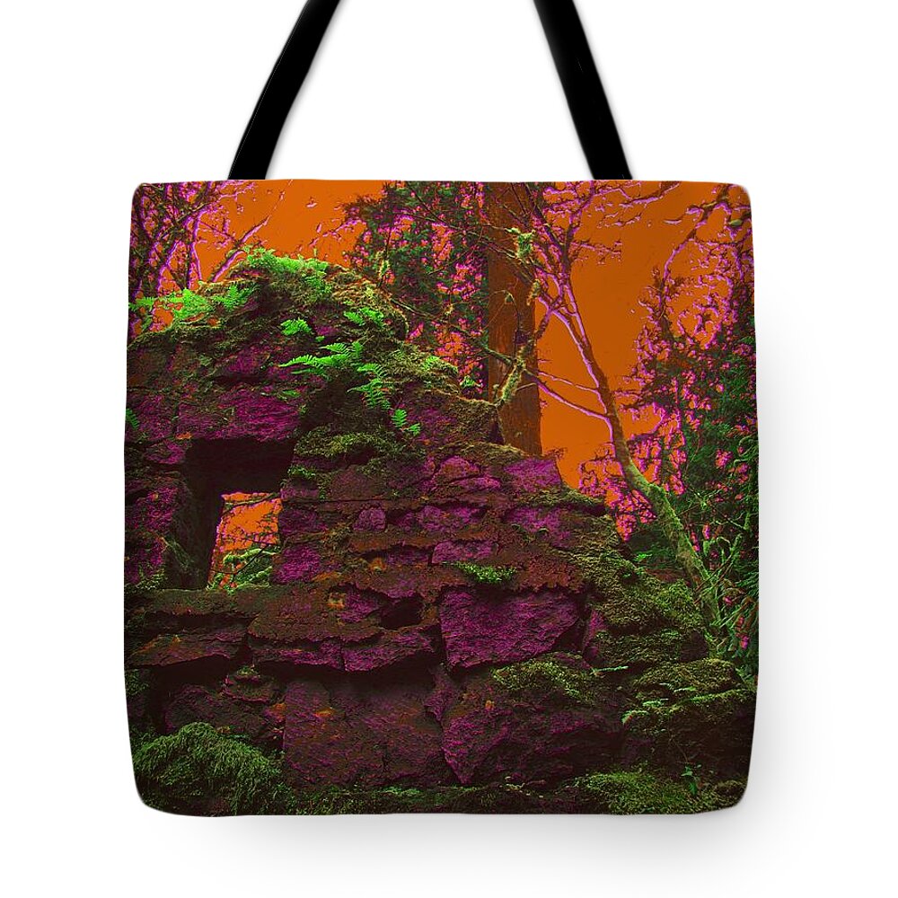 Stone House Tote Bag featuring the photograph Anarchy's Playhouse by Laureen Murtha Menzl