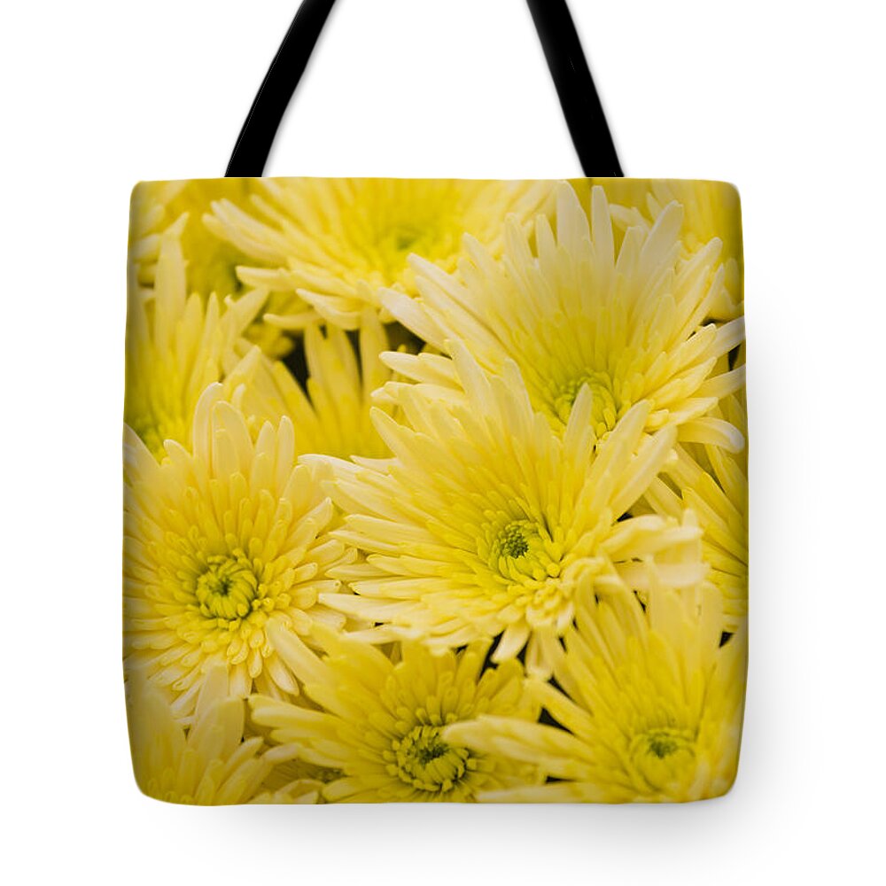 Flower Tote Bag featuring the photograph Anastasia Sunny by Maj Seda