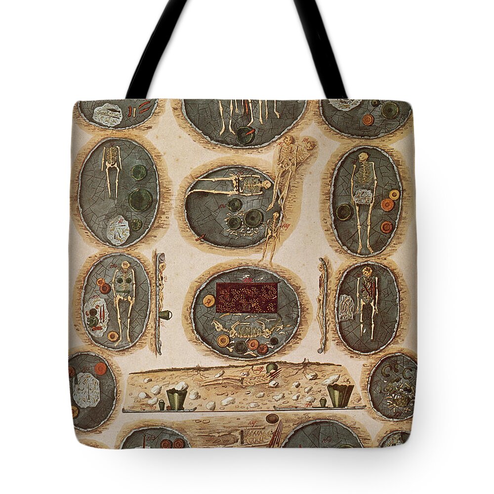 Science Tote Bag featuring the photograph Ancient Celtic Cemetery Hallstatt by Science Source