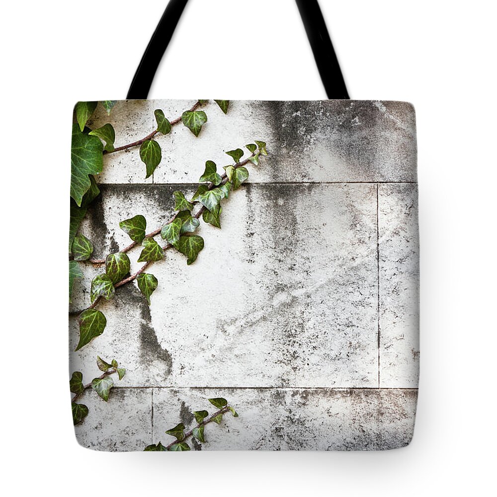 Architectural Feature Tote Bag featuring the photograph Ancient Stonewall With Ivy In Italy by Giorgiomagini