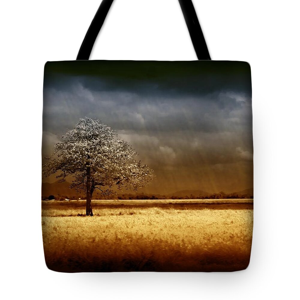 Landscapes Tote Bag featuring the photograph And the rains came by Holly Kempe