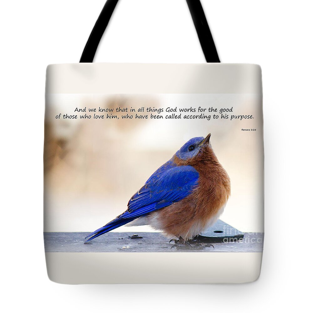 Sandra Clark Tote Bag featuring the photograph And We Know by Sandra Clark