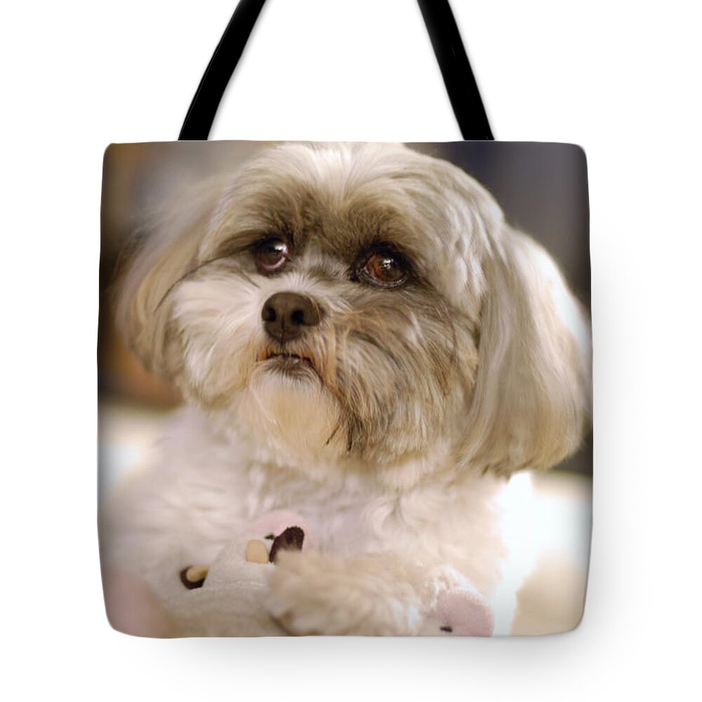 Dog Tote Bag featuring the photograph Angel Baby by Arthur Fix