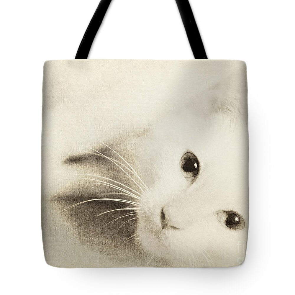 Cat Tote Bag featuring the photograph Angel Baby by Pam Holdsworth