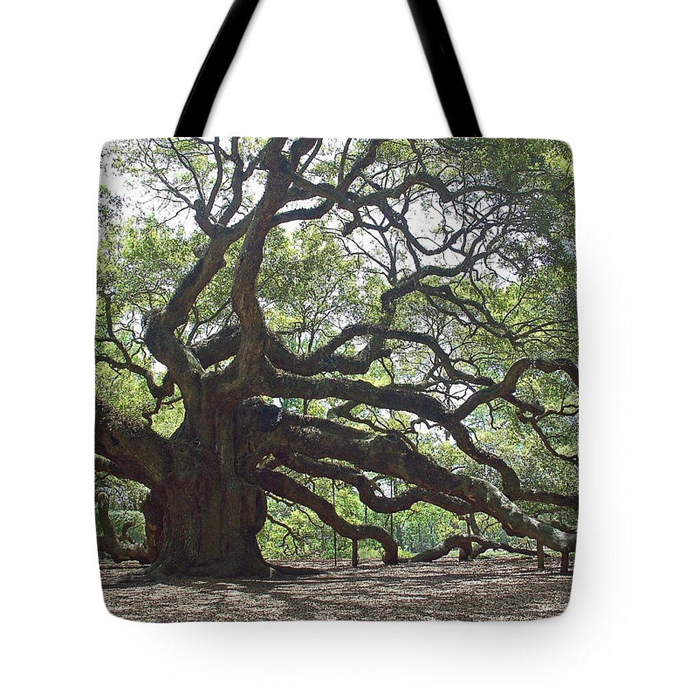 Angel Oak Tote Bag featuring the photograph Angel Oak II by Suzanne Gaff
