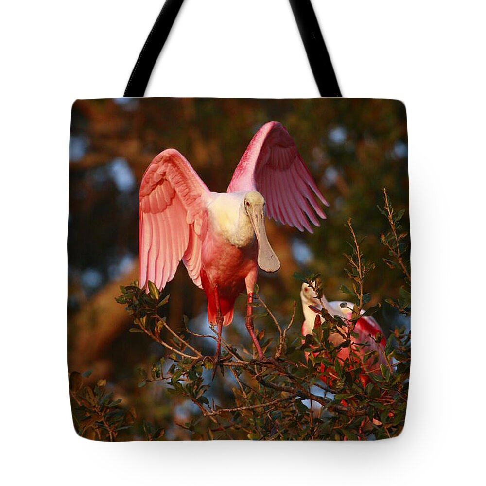 Landscapes Tote Bag featuring the photograph Angel Wings by John F Tsumas
