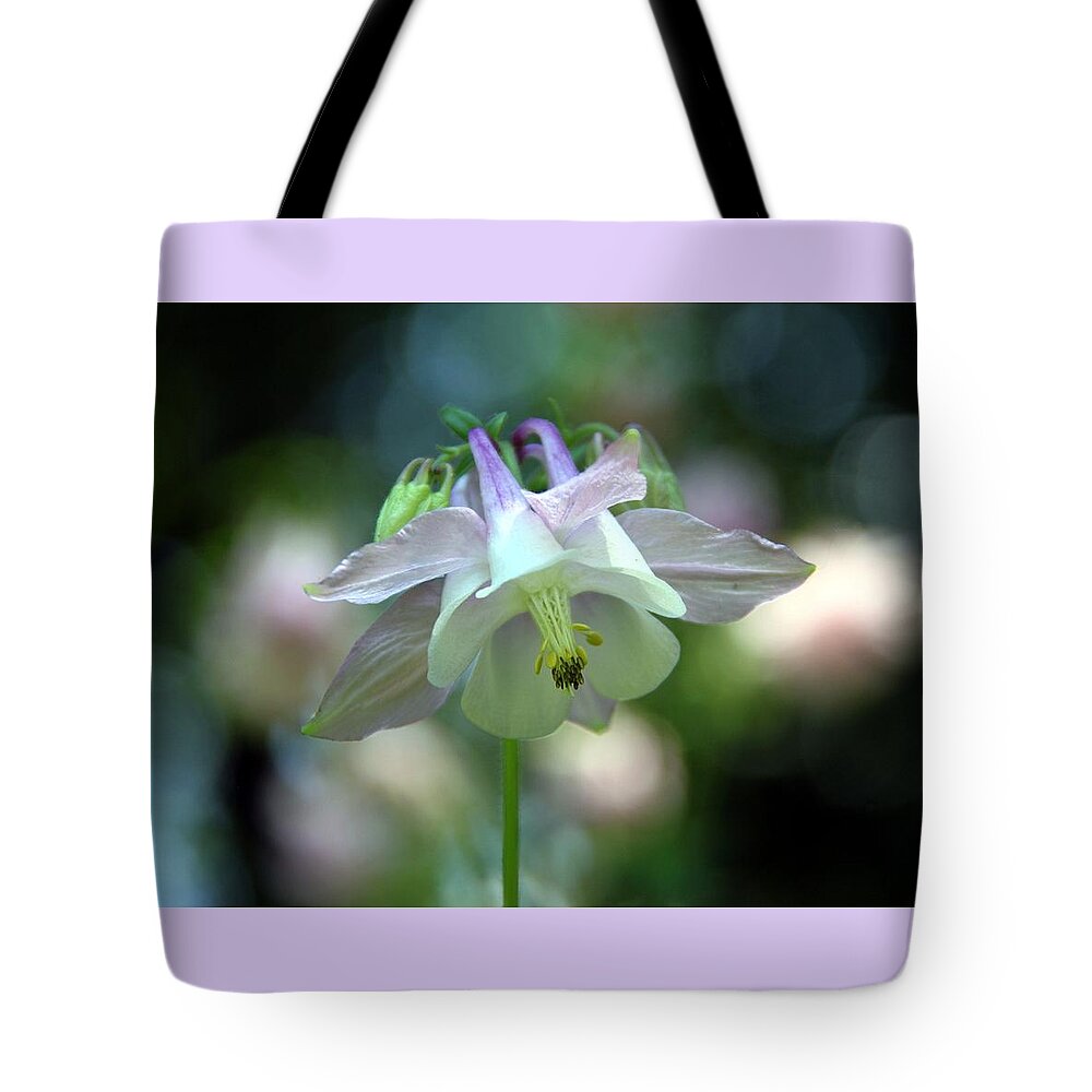 Columbine Tote Bag featuring the photograph Angelic Aquilegia by Andrea Lazar