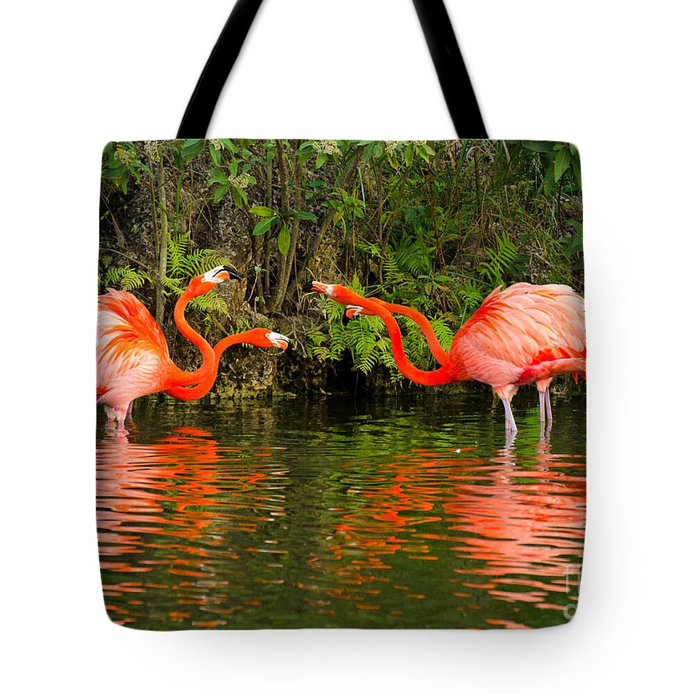 Angry Tote Bag featuring the photograph Angry Birds - Doubles Match by Les Palenik