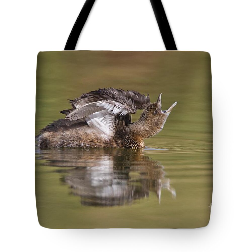 Grebe Tote Bag featuring the photograph Angry Grebe by Bryan Keil