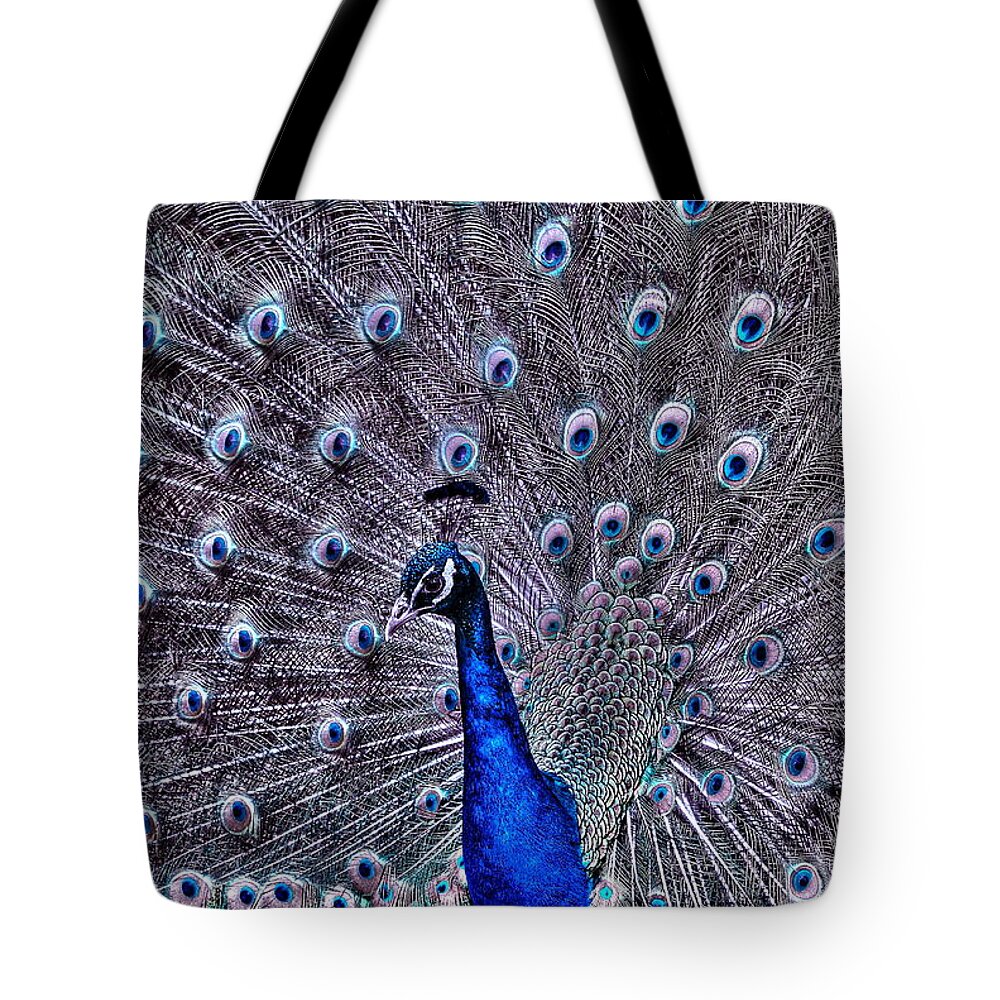 Bird Tote Bag featuring the photograph Animal 2 by Albert Fadel