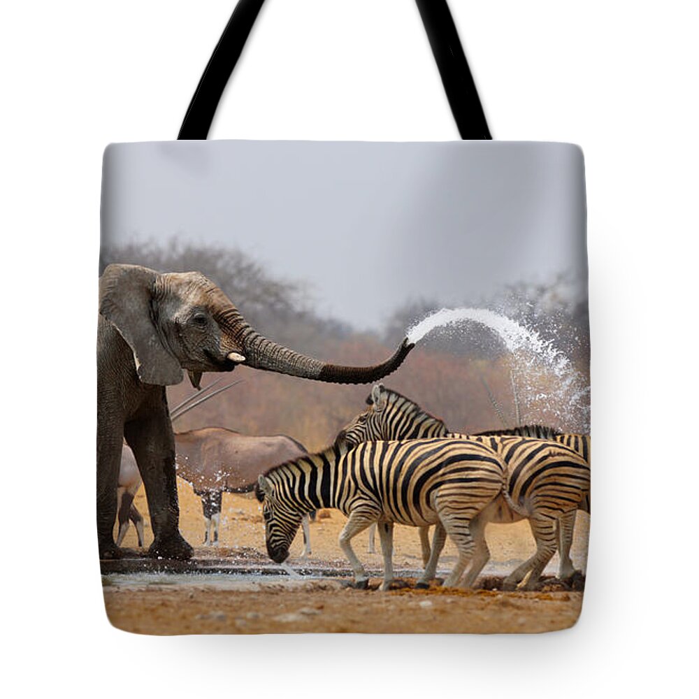 Funny Tote Bag featuring the photograph Animal humour by Johan Swanepoel
