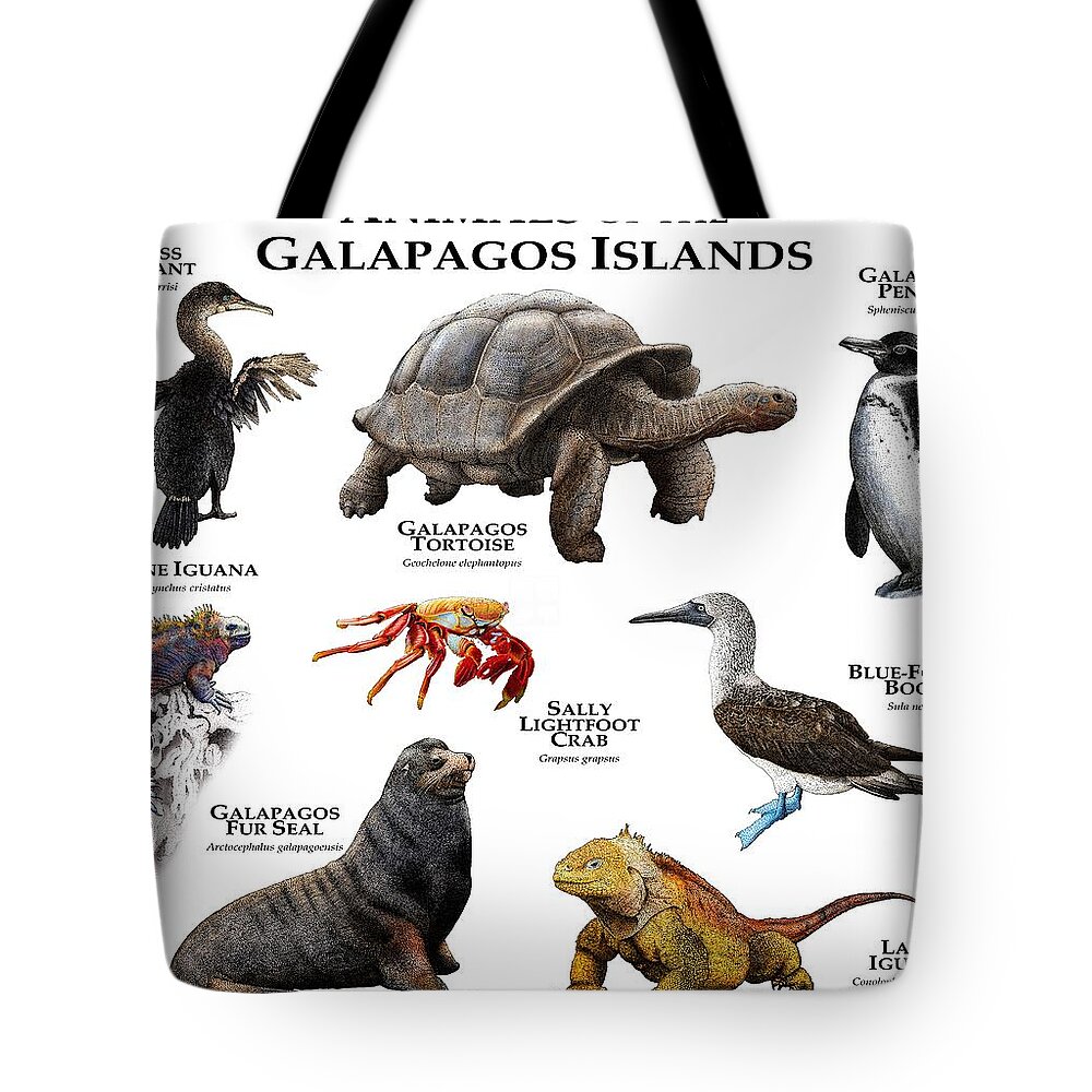 Animal Tote Bag featuring the photograph Animals Of The Galapagos Islands by Roger Hall
