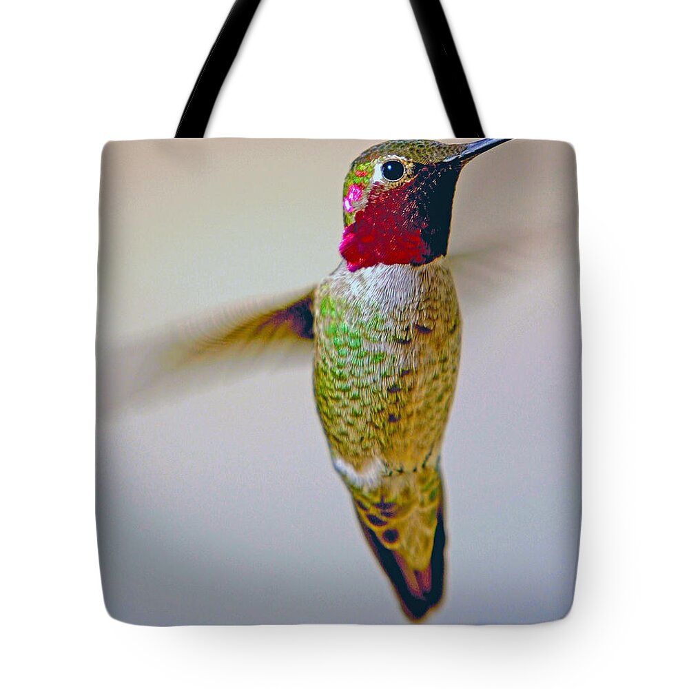 Wildlife Tote Bag featuring the photograph Anna's Hummingbird by David Salter