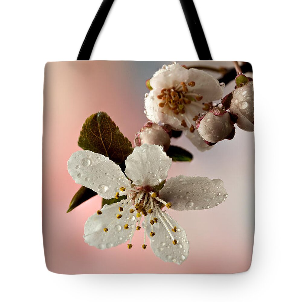 Anther Tote Bag featuring the photograph Announcing Spring by Mary Jo Allen